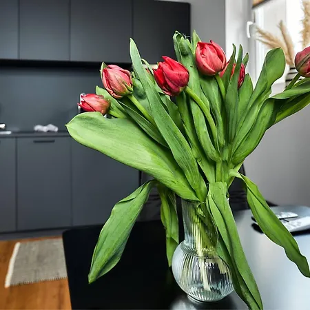 Seeglueck Hafenblick - Stilvolle Direkt Am Und Faehrhafen In Konstanz, In Der Naehe Der Universitaet דירה קונסטנץ