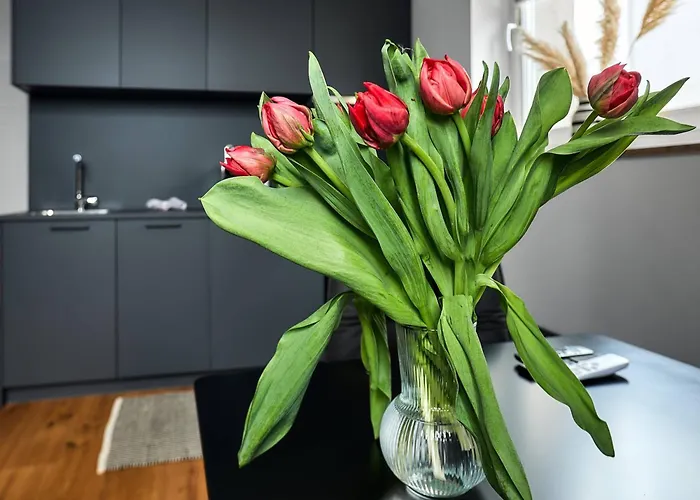 Seeglueck Hafenblick - Stilvolle Direkt Am Und Fährhafen In Konstanz, In Der Nähe Der Universität Apartment Konstanz
